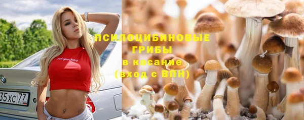 СК Осинники