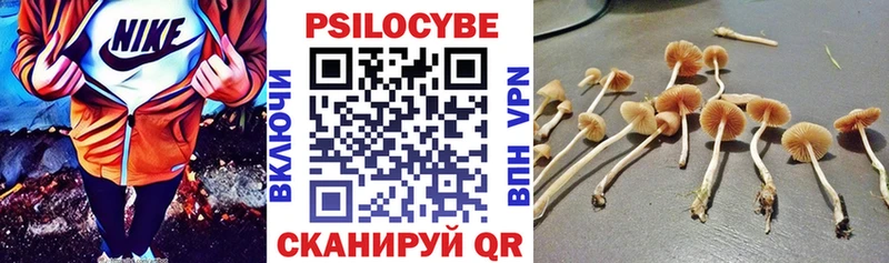 купить   Новомосковск  Псилоцибиновые грибы ЛСД 